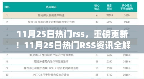 11月25日熱門RSS資訊解析，小紅書帶你領(lǐng)略最新潮流重磅更新！