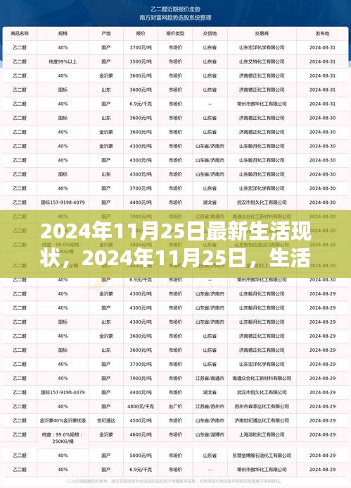 揭秘2024年11月25日生活現(xiàn)狀，深邃畫(huà)卷展現(xiàn)當(dāng)代生活面貌