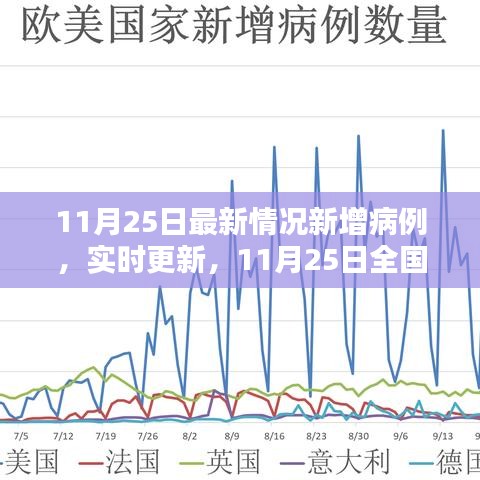 11月25日全國疫情最新動態(tài)，新增病例分析與實時更新應對策略