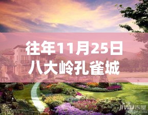 往年11月25日八大嶺孔雀城房?jī)r(jià)深度解析與體驗(yàn)報(bào)告，最新房?jī)r(jià)特性一覽及測(cè)評(píng)報(bào)告揭秘！