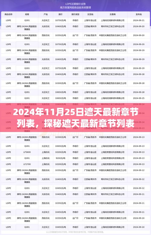 遮天最新章節(jié)列表揭秘，神秘小巷特色小店的探秘之旅（2024年11月25日更新）