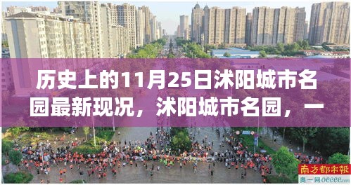 歷史上的今天與沭陽城市名園的溫馨秋日故事