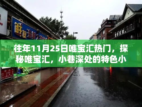 探秘唯寶匯，小巷特色小店與11月25日的獨(dú)特魅力