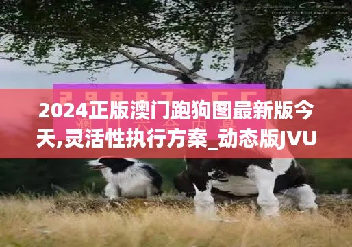 2024正版澳門(mén)跑狗圖最新版今天,靈活性執(zhí)行方案_動(dòng)態(tài)版JVU19.18