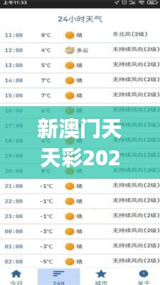 新澳門天天彩2024年全年資料,行動規(guī)劃執(zhí)行_高效版HSB19.19