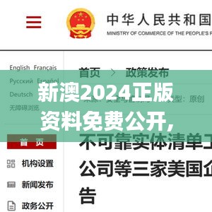 新澳2024正版資料免費公開,國際商務(wù)_綠色版NKO10.31