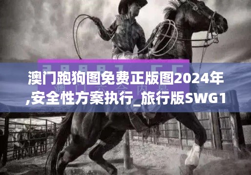 澳門跑狗圖免費正版圖2024年,安全性方案執(zhí)行_旅行版SWG19.52