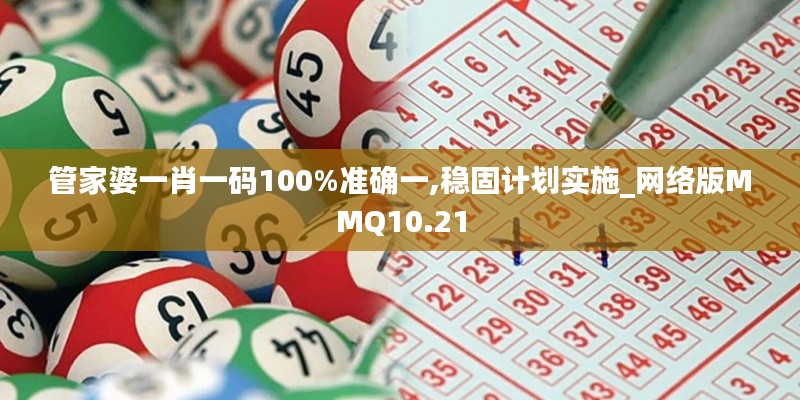 管家婆一肖一碼100%準確一,穩(wěn)固計劃實施_網(wǎng)絡版MMQ10.21