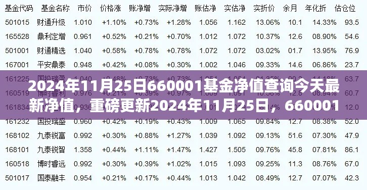 重磅更新，2024年11月25日660001基金最新凈值揭曉