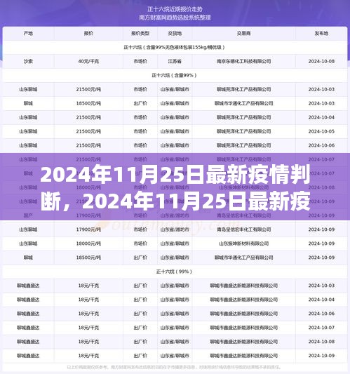 2024年11月25日最新疫情判斷全面解析，特性、體驗、競品對比及用戶群體深度分析