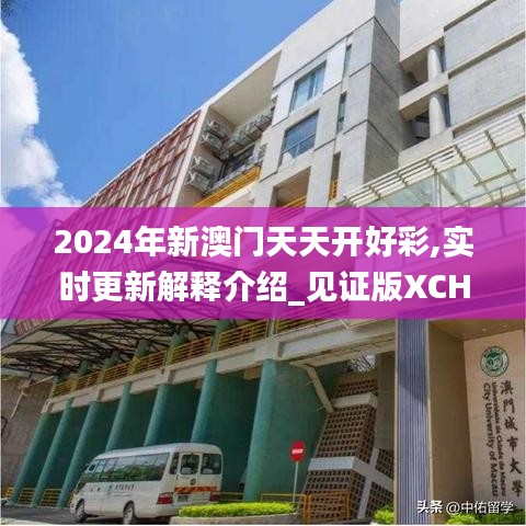 2024年新澳門天天開好彩,實時更新解釋介紹_見證版XCH10.60