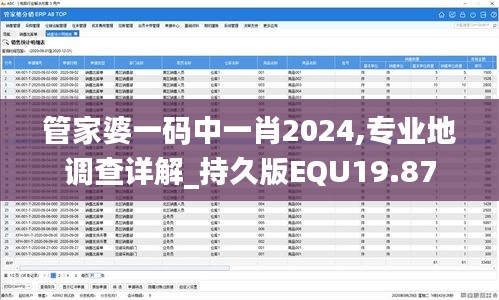 管家婆一碼中一肖2024,專業(yè)地調(diào)查詳解_持久版EQU19.87