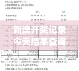 新澳開獎記錄今天結(jié)果查詢表,現(xiàn)代化解析定義_本地版ROR19.74