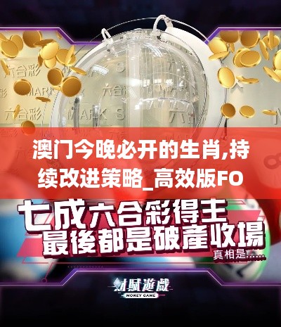 澳門今晚必開的生肖,持續(xù)改進策略_高效版FOF19.25