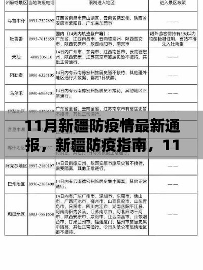 新疆防疫指南，11月最新防疫措施詳解與初學者快速上手攻略