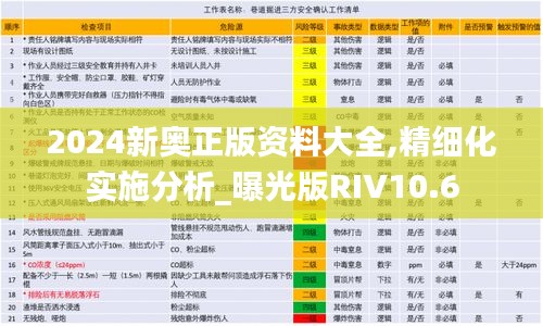 2024新奧正版資料大全,精細(xì)化實施分析_曝光版RIV10.6