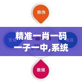 精準一肖一碼一子一中,系統分析方案設計_樂享版XBU19.31