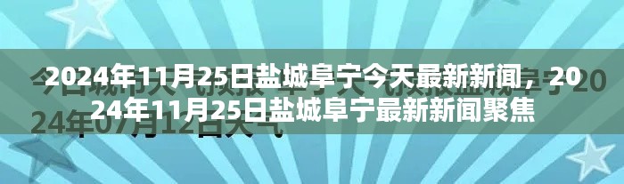 鹽城阜寧地區(qū)最新新聞聚焦，2024年11月25日時(shí)事報(bào)道