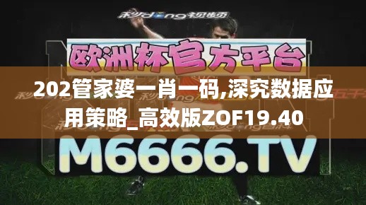 202管家婆一肖一碼,深究數(shù)據(jù)應(yīng)用策略_高效版ZOF19.40