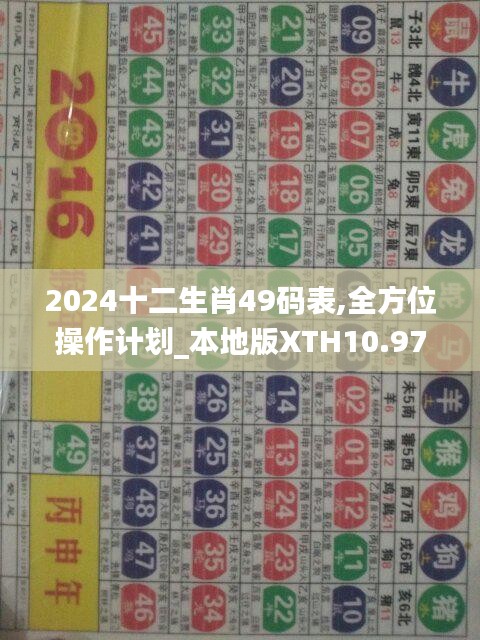 2024十二生肖49碼表,全方位操作計劃_本地版XTH10.97