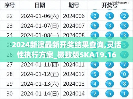 2024新澳最新開獎(jiǎng)結(jié)果查詢,靈活性執(zhí)行方案_極致版SKA19.16