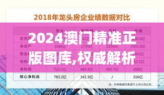 2024澳門精準(zhǔn)正版圖庫,權(quán)威解析方法_定向版OQD19.39