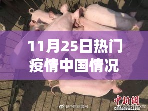 中國疫情最新動態(tài)解析，現(xiàn)狀與發(fā)展趨勢深度探討（11月25日熱門報告）