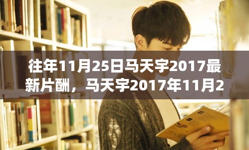 馬天宇最新片酬揭秘，演藝特性、用戶體驗與市場競爭力分析（2017年11月25日）