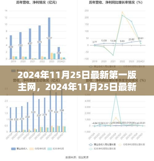 某某觀點(diǎn)下的深度剖析，2024年最新版主網(wǎng)探析與預(yù)測(cè)