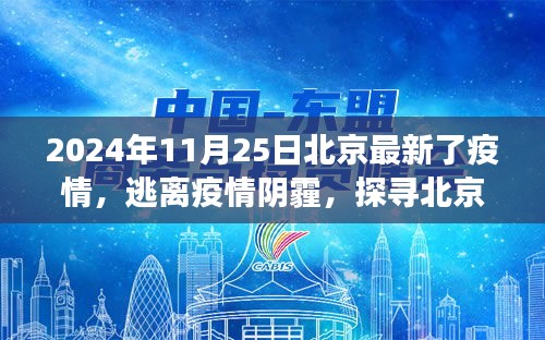 北京疫情最新動態(tài)下的自然秘境之旅，探尋希望之光（2024年11月25日）