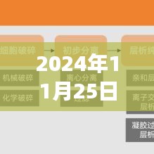 2024年11月25日通訊新聞，科技革新、社會變革與全球動態(tài)