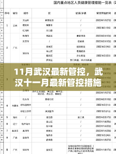 武漢十一月最新管控措施全面解析