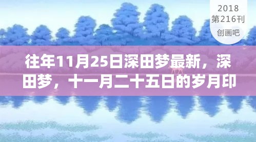 深田夢十一月印記，歲月留聲，回憶往年今日風(fēng)采