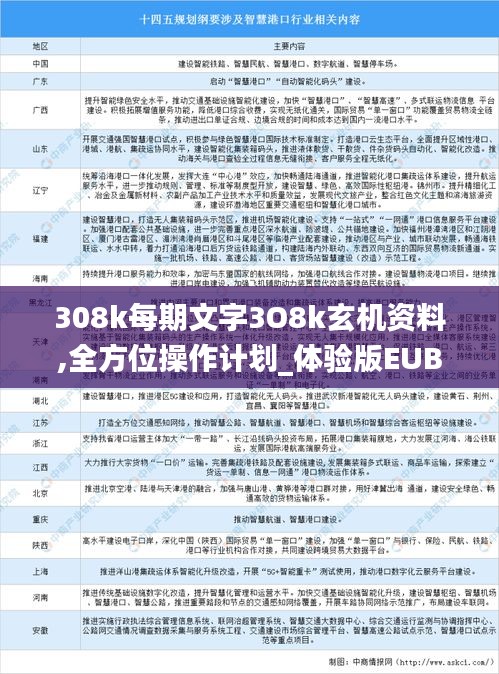 308k每期文字3O8k玄機資料,全方位操作計劃_體驗版EUB5.52