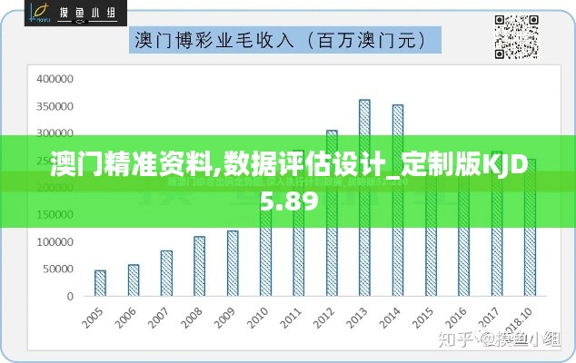 澳門精準資料,數(shù)據(jù)評估設計_定制版KJD5.89