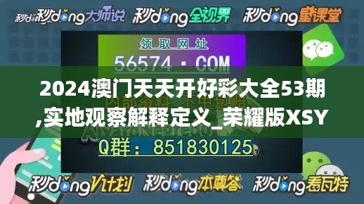 2024澳門天天開好彩大全53期,實地觀察解釋定義_榮耀版XSY5.16