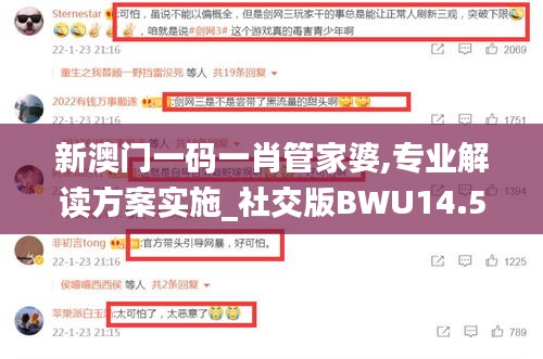 新澳門一碼一肖管家婆,專業(yè)解讀方案實施_社交版BWU14.53