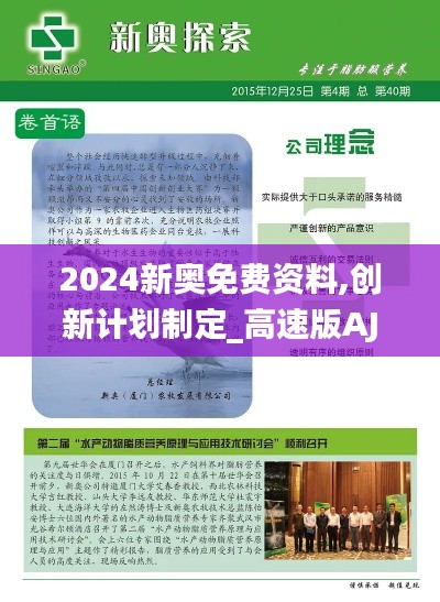 2024新奧免費資料,創(chuàng)新計劃制定_高速版AJN14.5