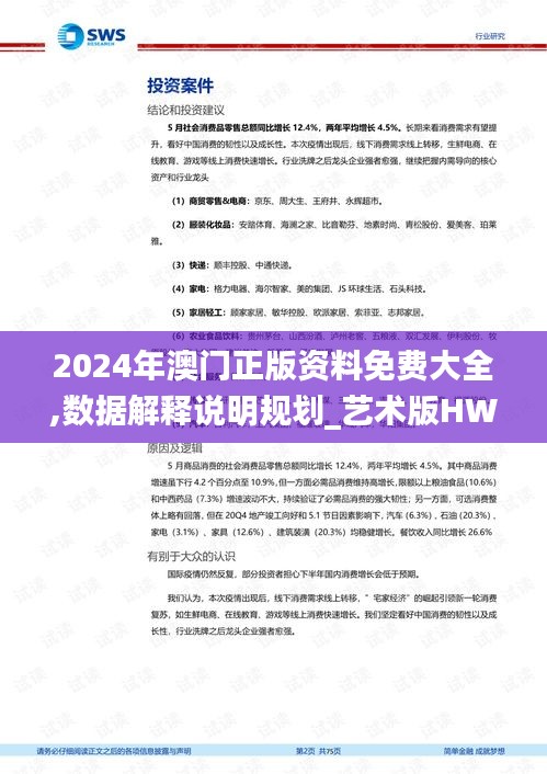 2024年澳門正版資料免費大全,數(shù)據(jù)解釋說明規(guī)劃_藝術版HWY5.29