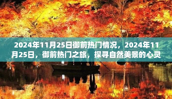 心靈探尋之旅，御前熱門自然美景揭秘的旅程（2024年11月25日）