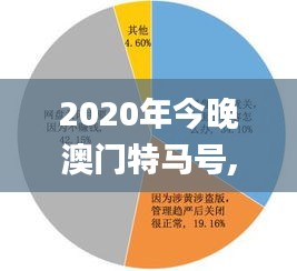 2020年今晚澳門特馬號(hào),機(jī)制評(píng)估方案_超高清版FCA14.47