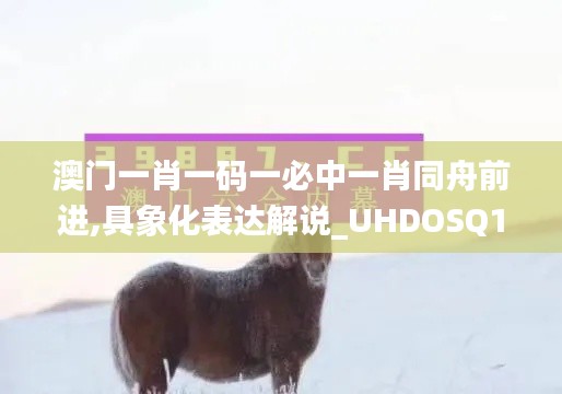 澳門一肖一碼一必中一肖同舟前進,具象化表達解說_UHDOSQ14.18