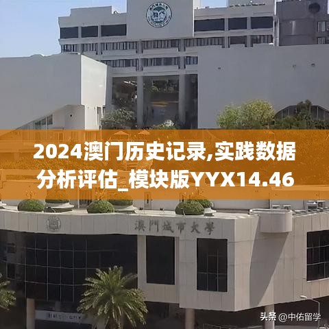 2024年11月28日 第49頁