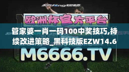 管家婆一肖一碼100中獎技巧,持續(xù)改進策略_黑科技版EZW14.60