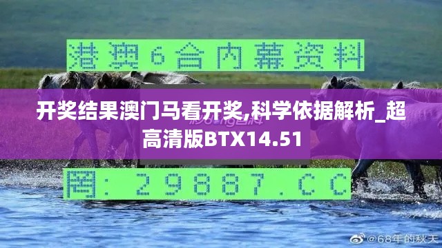 2024年11月28日 第50頁