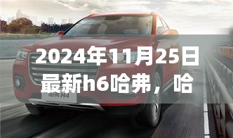 哈弗H6新旅程啟程，深厚友情與溫馨日常的完美融合（2024年11月25日最新）