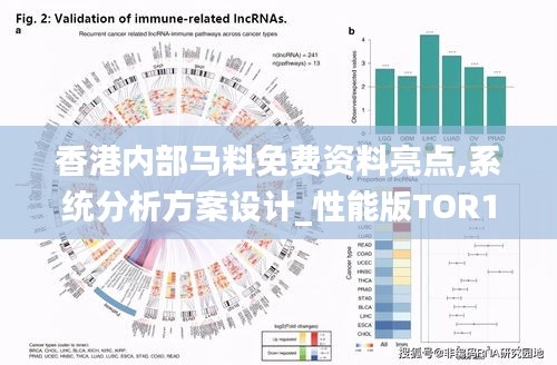 香港內(nèi)部馬料免費(fèi)資料亮點(diǎn),系統(tǒng)分析方案設(shè)計(jì)_性能版TOR14.16