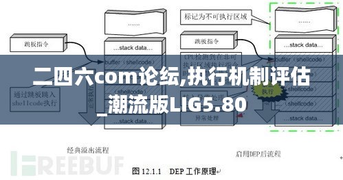 二四六com論紜,執(zhí)行機(jī)制評(píng)估_潮流版LIG5.80