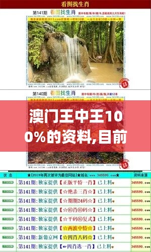 澳門王中王100%的資料,目前現(xiàn)象解析描述_生態(tài)版JTI14.17