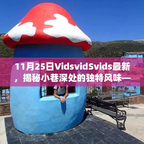 探訪隱藏版寶藏小店VidsvidSvids，小巷深處的獨(dú)特風(fēng)味揭秘